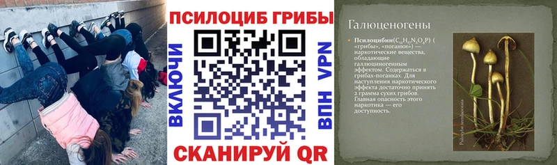 Псилоцибиновые грибы Cubensis  Татарск 